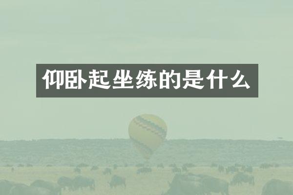 仰卧起坐练的是什么