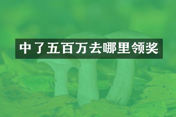 中了五百万去哪里领奖