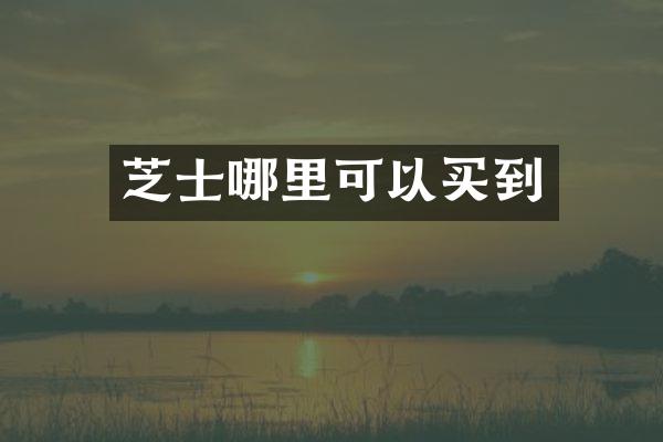 芝士哪里可以买到