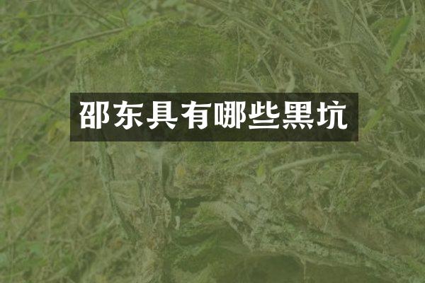 邵东具有哪些黑坑