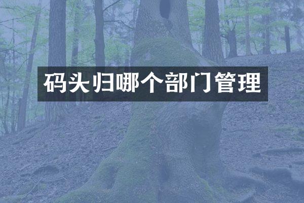 码头归哪个部门管理