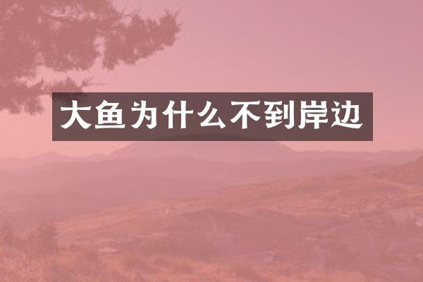 大鱼为什么不到岸边