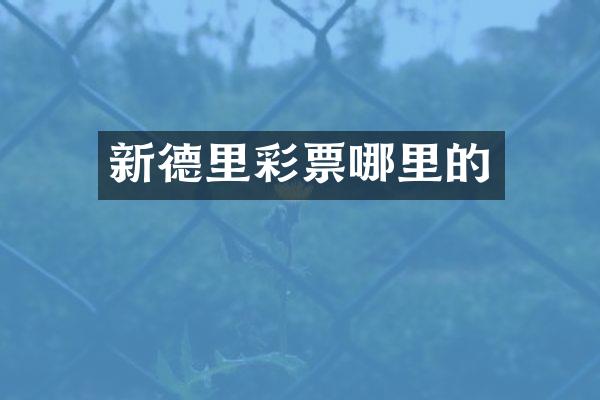 新德里彩票哪里的