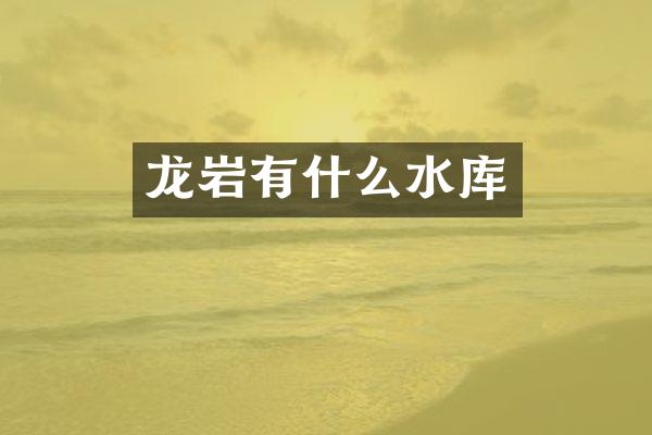 龙岩有什么水库