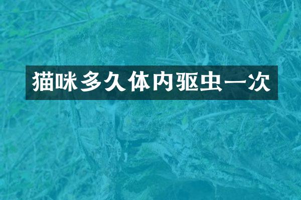 猫咪多久体内驱虫一次