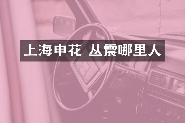 上海申花 丛震哪里人