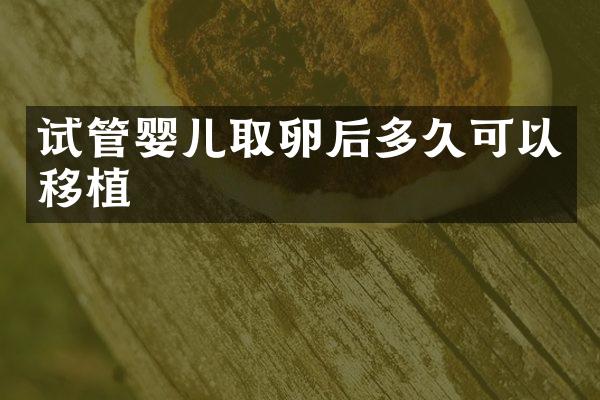 试管婴儿取卵后多久可以移植