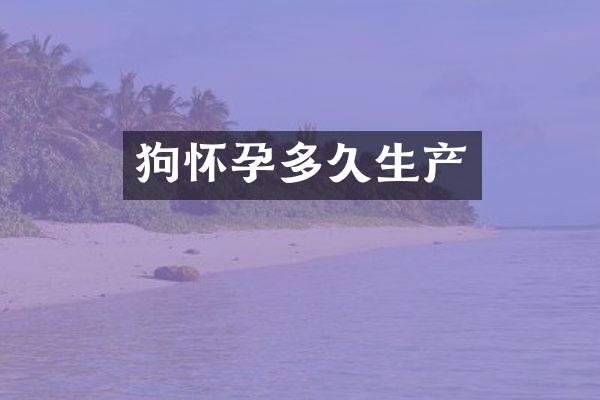 狗怀孕多久生产