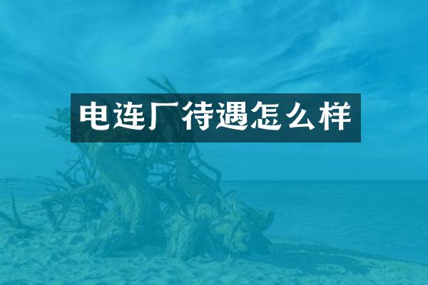 电连厂待遇怎么样