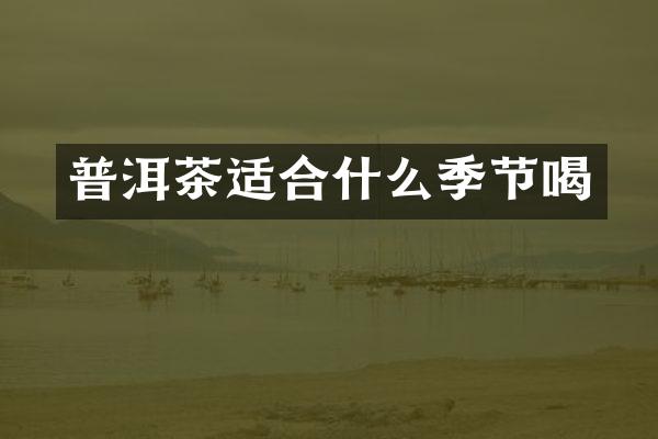 普洱茶适合什么季节喝