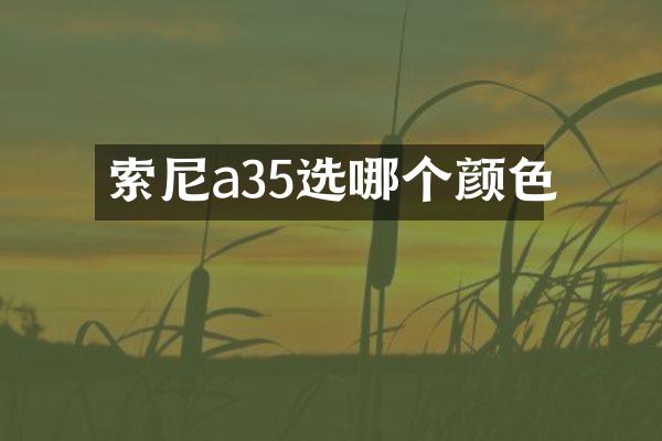 a35选哪个颜色
