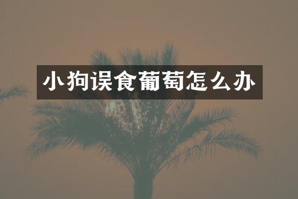 小狗误食葡萄怎么办