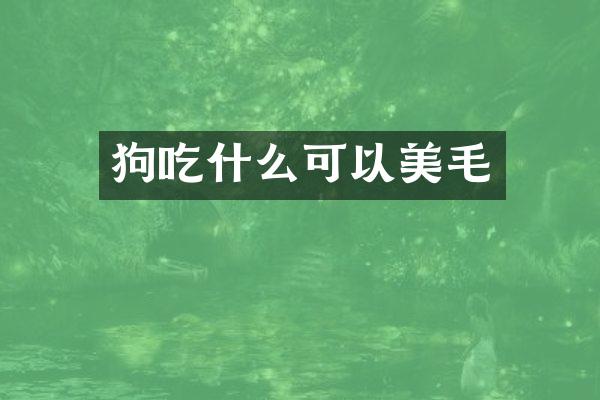 狗吃什么可以美毛