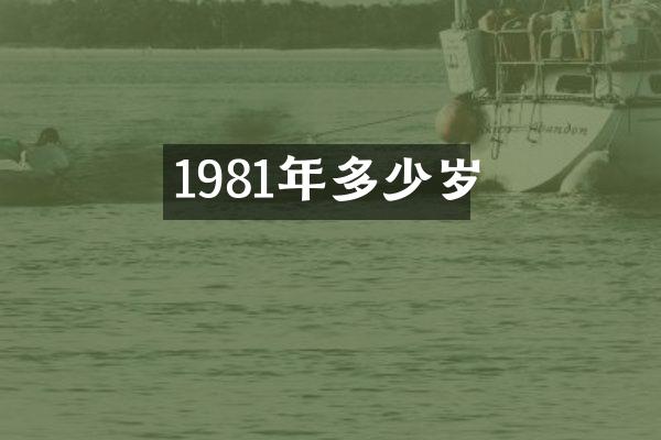 1981年