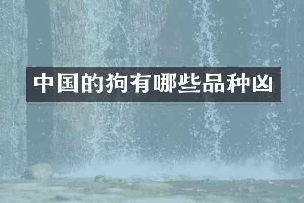 中国的狗有哪些品种凶