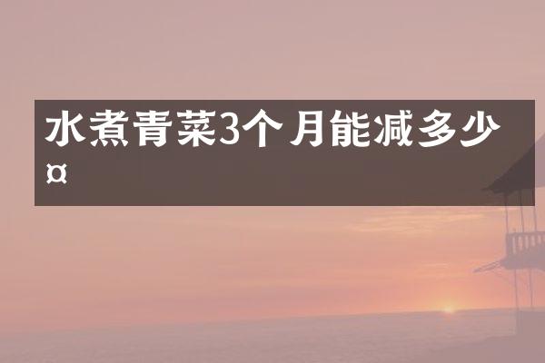 水煮青菜3个月能减多少斤