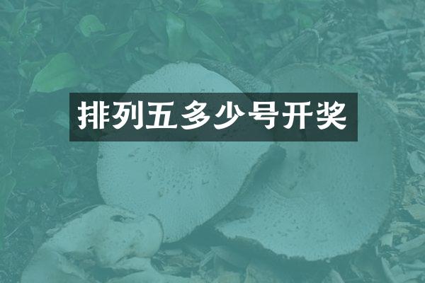 排列五多少号开奖