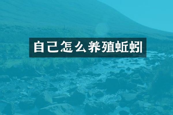 自己怎么养殖蚯蚓