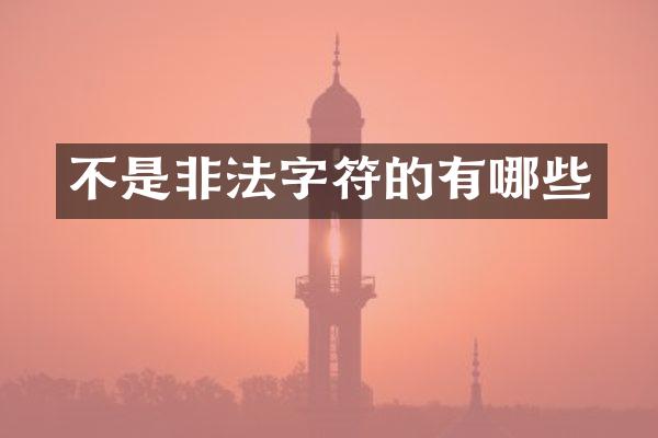 不是非法字符的有哪些