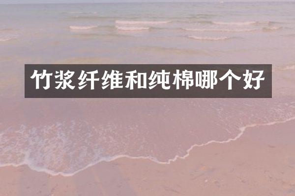 竹浆纤维和纯棉哪个好