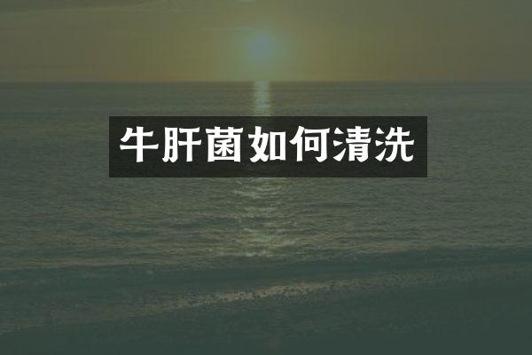 牛肝菌如何清洗