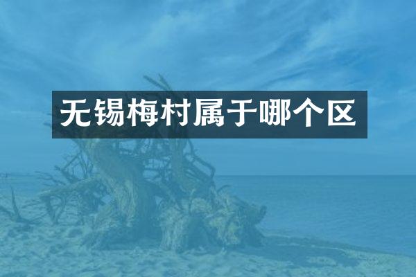 无锡梅村属于哪个区
