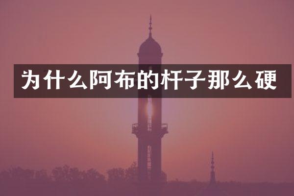 为什么阿布的杆子那么硬