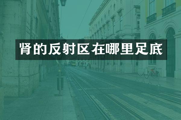 肾的反射区在哪里足底