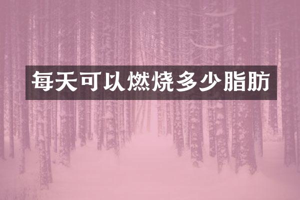 每天可以燃烧多少脂肪
