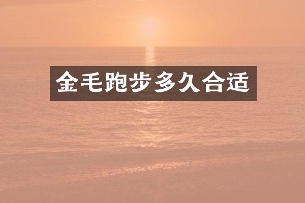 金毛跑步多久合适