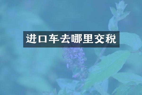 进口车去哪里交税