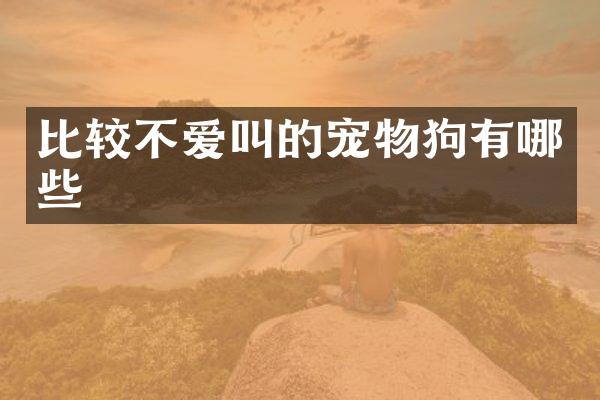 比较不爱叫的宠物狗有哪些