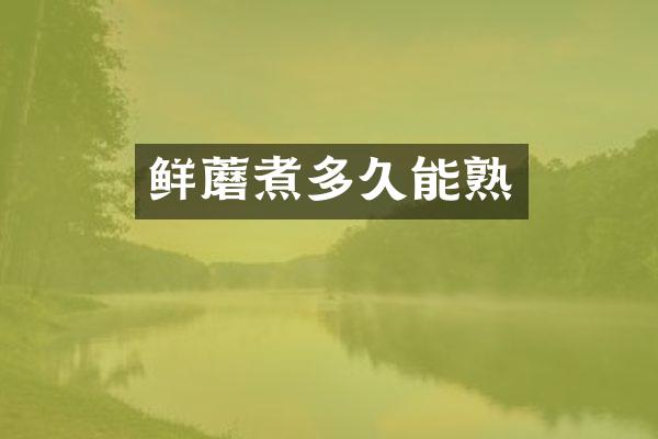鲜蘑煮多久能熟