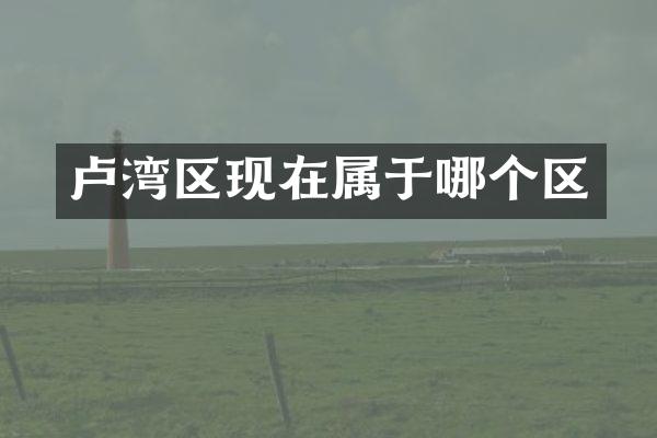 卢湾区现在属于哪个区
