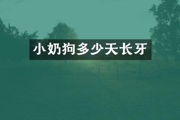 小奶狗多少天长牙