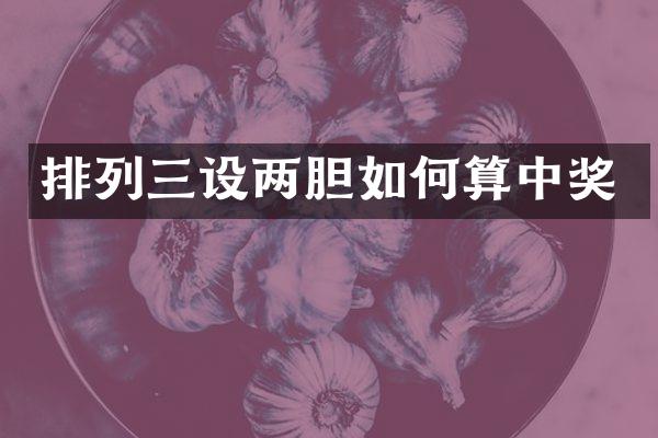 排列三设两胆如何算中奖