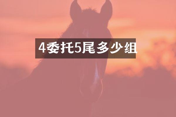 4委托5尾多少组