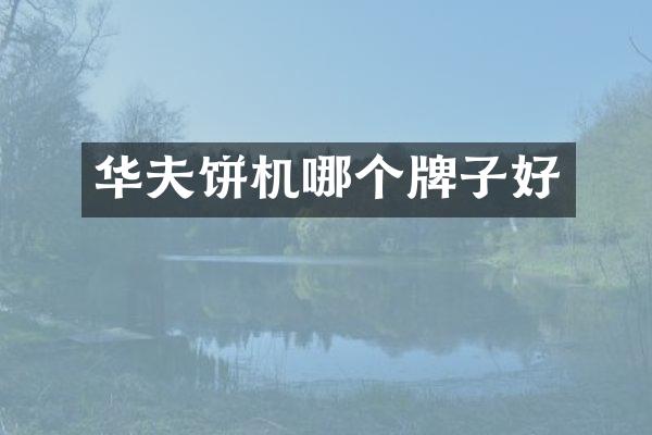 华夫饼机哪个牌子好