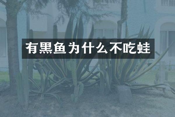 有黑鱼为什么不吃蛙