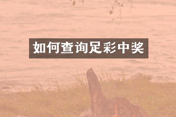 如何查询足彩中奖