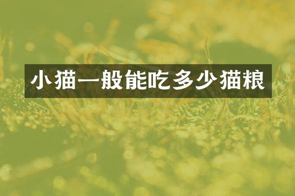 小猫一般能吃多少猫粮