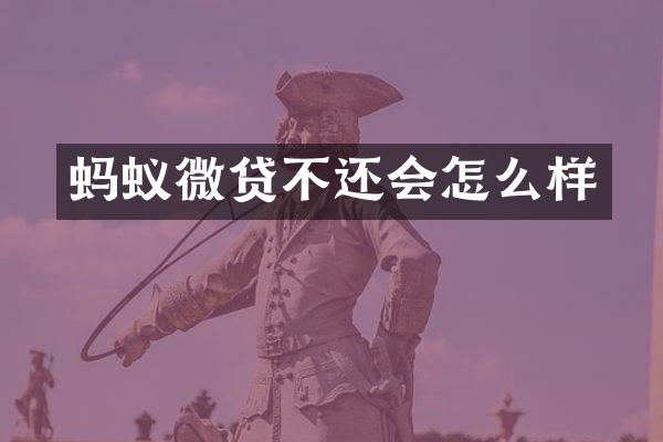 蚂蚁微贷不还会怎么样