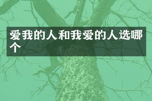爱我的人和我爱的人选哪个