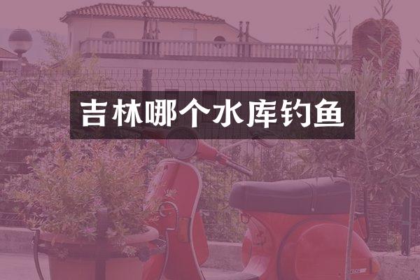 吉林哪个水库钓鱼