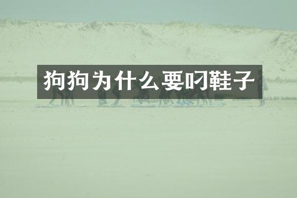 狗狗为什么要叼鞋子