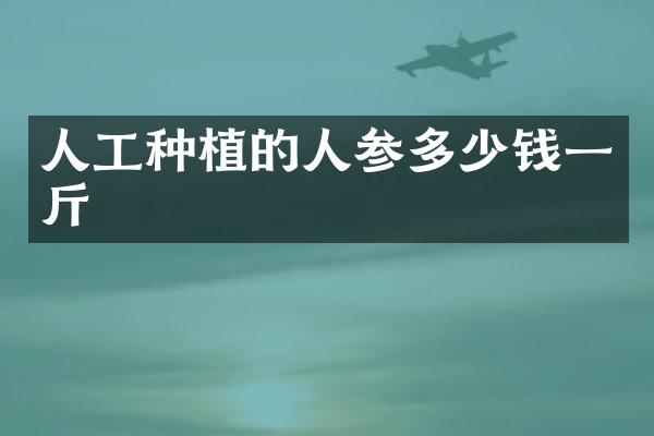 人工种植的人参多少钱一斤