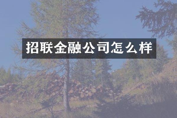 招联金融公司怎么样