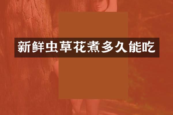 新鲜虫草花煮多久能吃