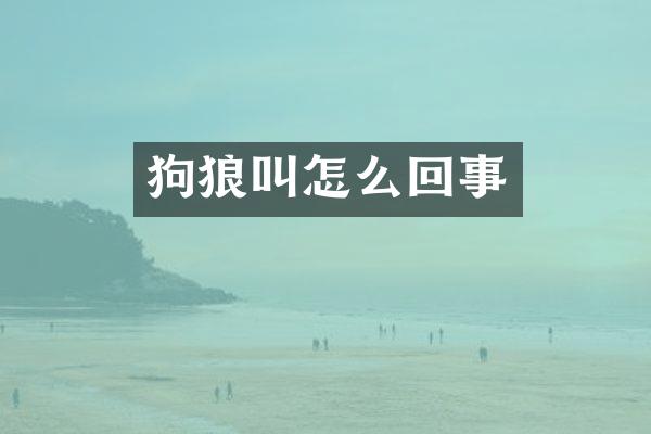 狗狼叫怎么回事