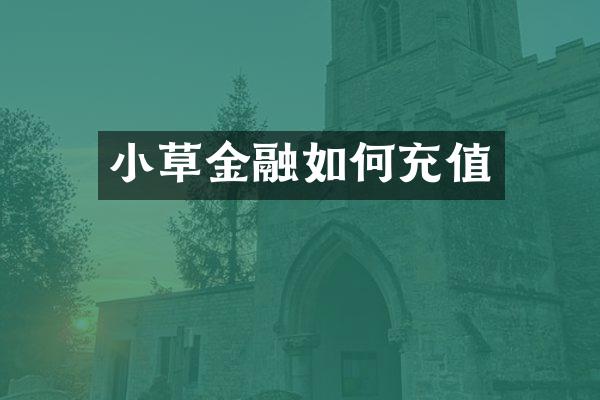 小草金融如何充值